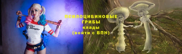 метамфетамин Алексеевка