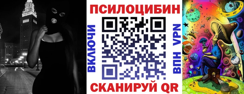 omg зеркало  Баксан  Галлюциногенные грибы Psilocybe 