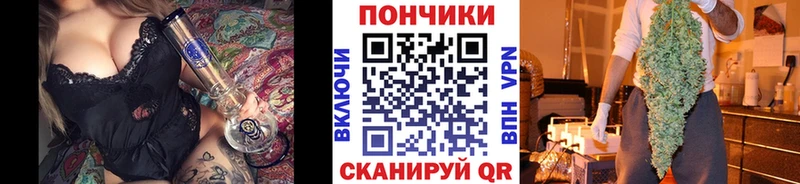Канабис гибрид  Баксан 